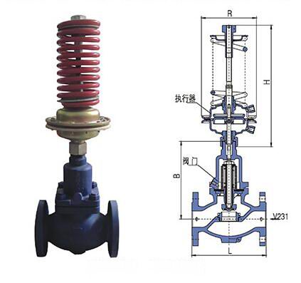 进口自力式压力调节阀(图1)