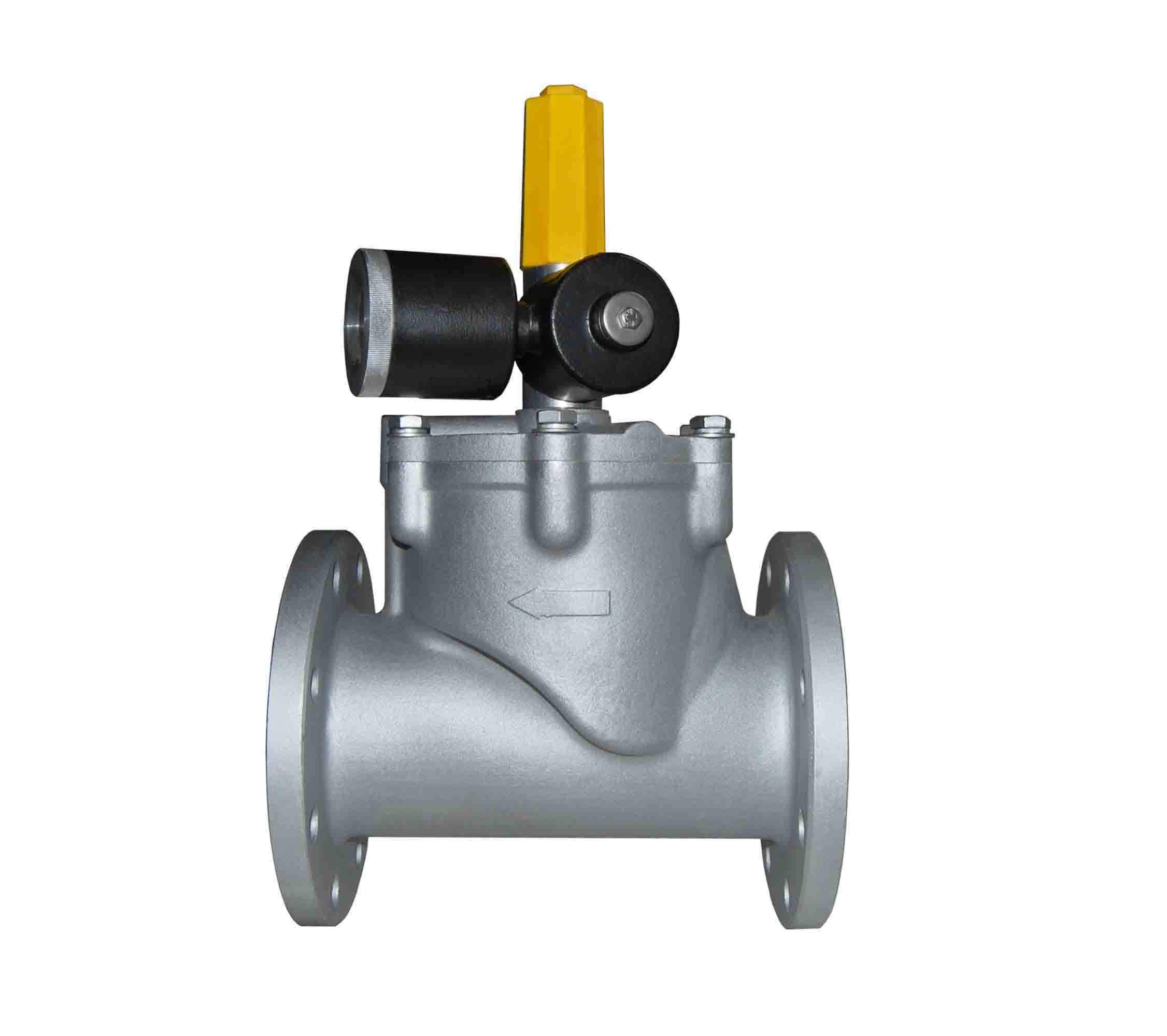 进口燃气安全电磁阀(图1)